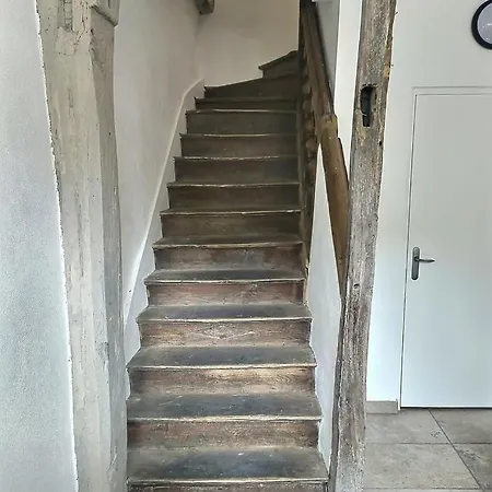 Le Vauluisant | Confort | Mon Groom * Troyes