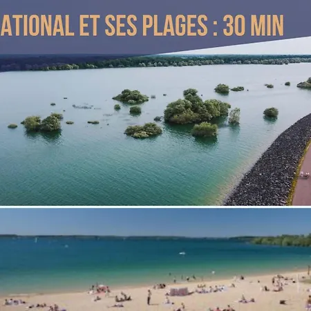 Le Vauluisant | Confort | Mon Groom Troyes