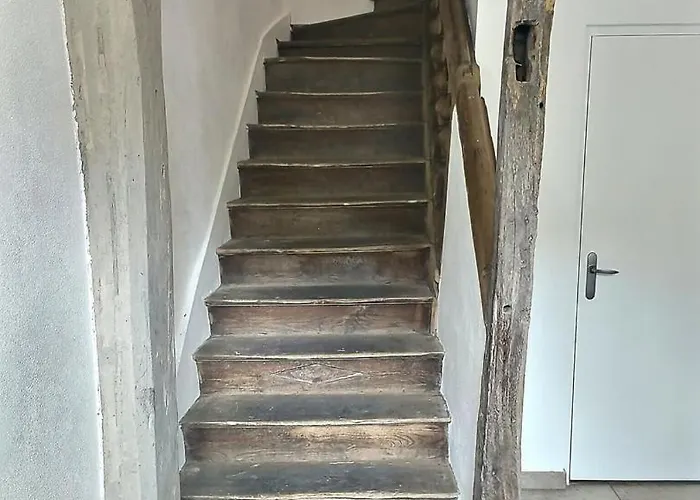 Le Vauluisant | Confort | Mon Groom * Troyes